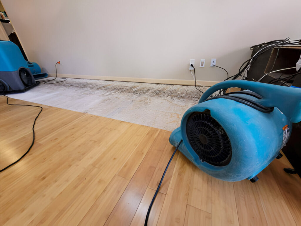 Water Damage Restoration (5.1)